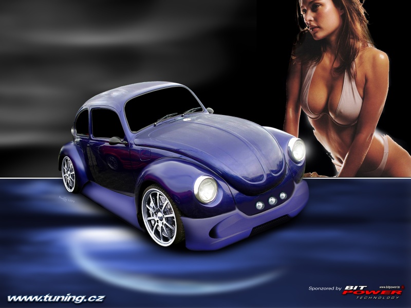 297_800x600.jpg