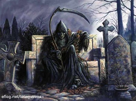 422202[1].jpg